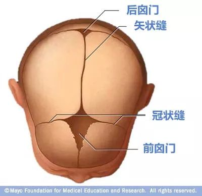寶寶的囟門很重要，出現(xiàn)這3種異常要當(dāng)心！