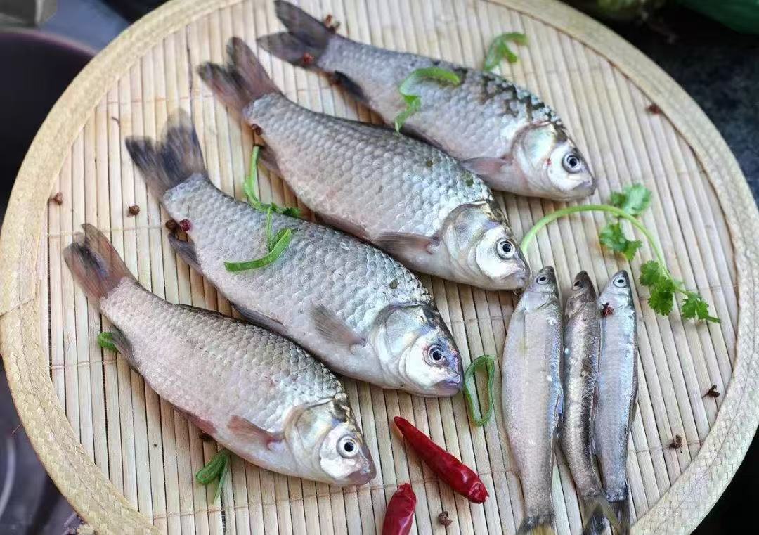 25種催乳又健康的食材推薦