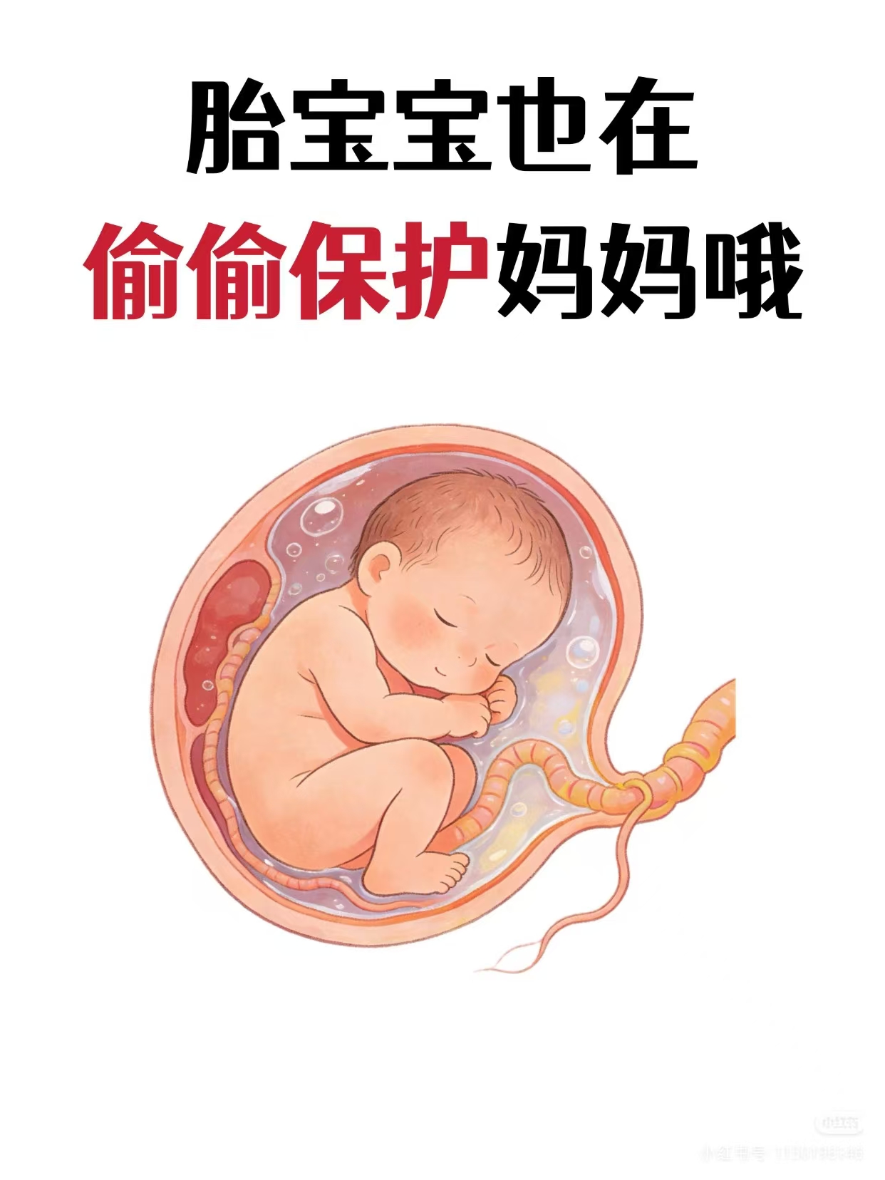 原來胎寶寶也在保護媽媽哦